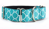 Martingale Style Super Strong Durable Dog Collar - Grey Lives Matter Shop