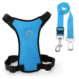 Dog Safety Seat Belt With Safety Harness - Grey Lives Matter Shop