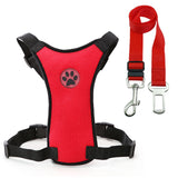 Dog Safety Seat Belt With Safety Harness - Grey Lives Matter Shop