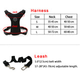 Dog Safety Seat Belt With Safety Harness - Grey Lives Matter Shop