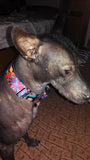 Martingale Style Super Strong Durable Dog Collar - Grey Lives Matter Shop
