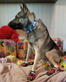 Martingale Style Super Strong Durable Dog Collar - Grey Lives Matter Shop