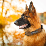 Personalized Custom Leather Dog Collar With Name ID Tag For Small Medium Large Dogs - Grey Lives Matter Shop