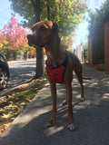 Dog Safety Seat Belt With Safety Harness - Grey Lives Matter Shop